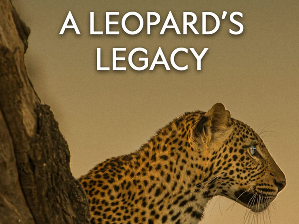 A Leopard's Legacy