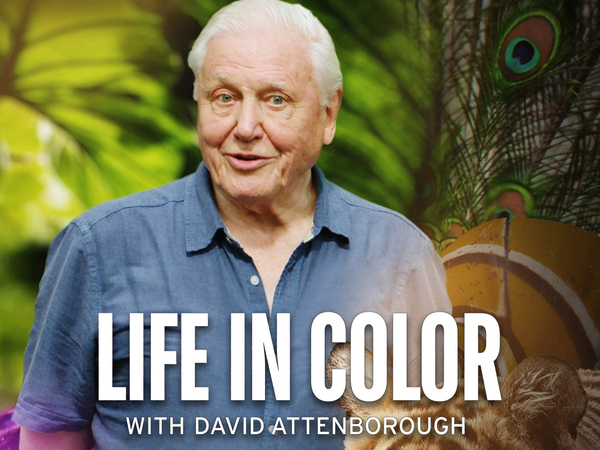 Life in Colour with David Attenborough