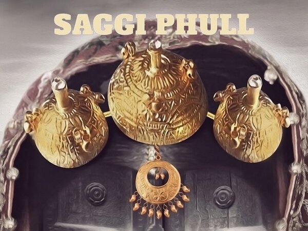 Saggi Phull