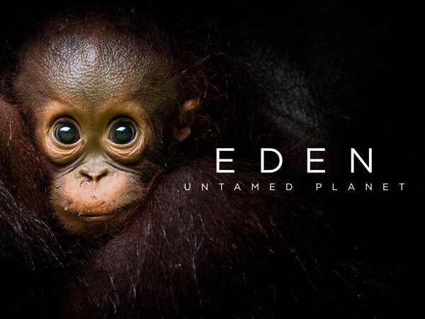 Eden: Untamed Planet
