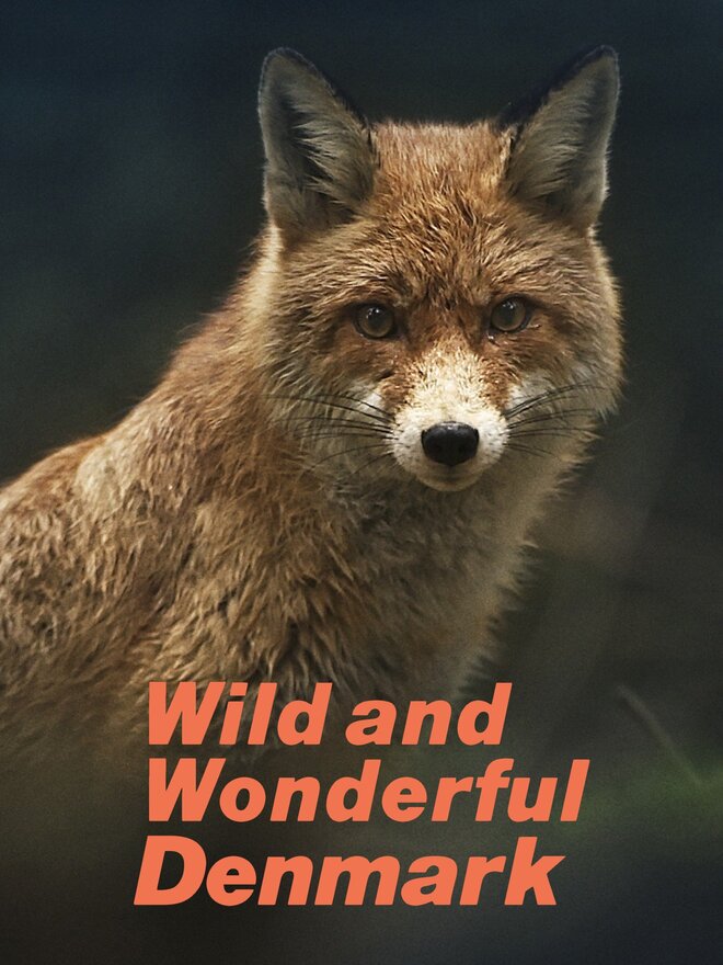 Wild and Wonderful Denmark