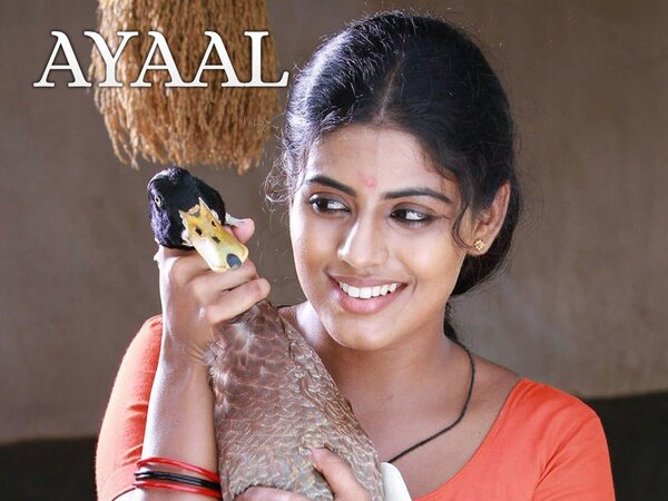 Ayaal