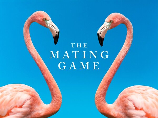 The Mating Game
