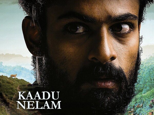 Kaadu Nelam