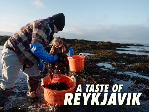 A Taste of Reykjavik