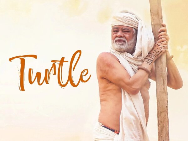 Turtle
