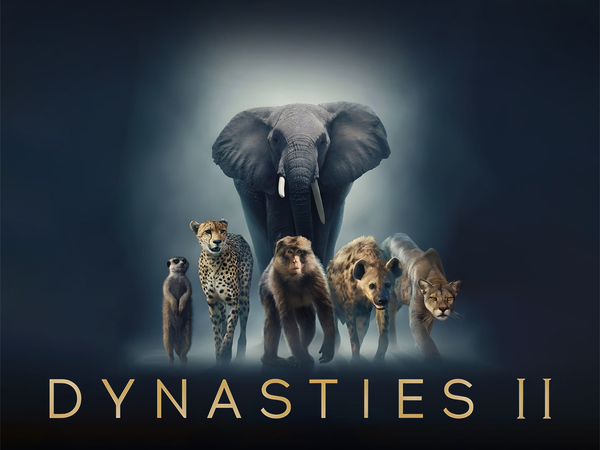 Dynasties