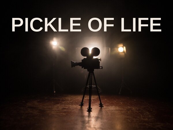 Pickle Of Life