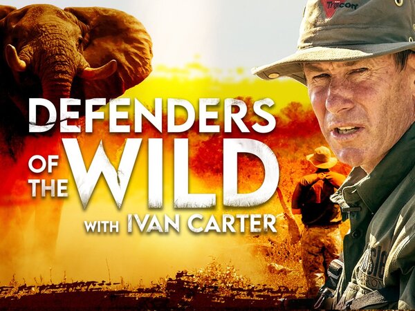 Defenders of the Wild