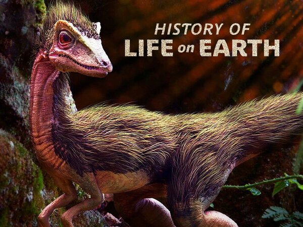 History Of Life On Earth
