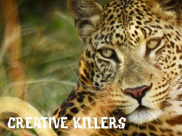 Creative Killers