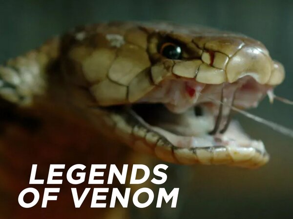 Legends of Venom