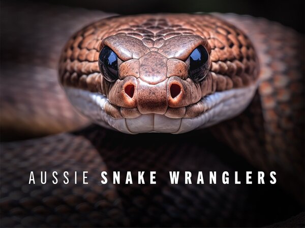 Aussie Snake Wranglers