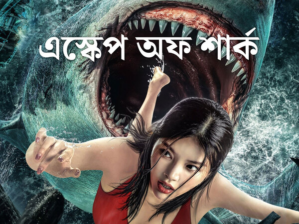 Escape of Shark