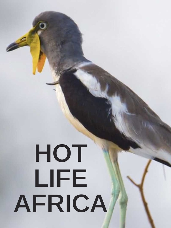 Hot Life Africa
