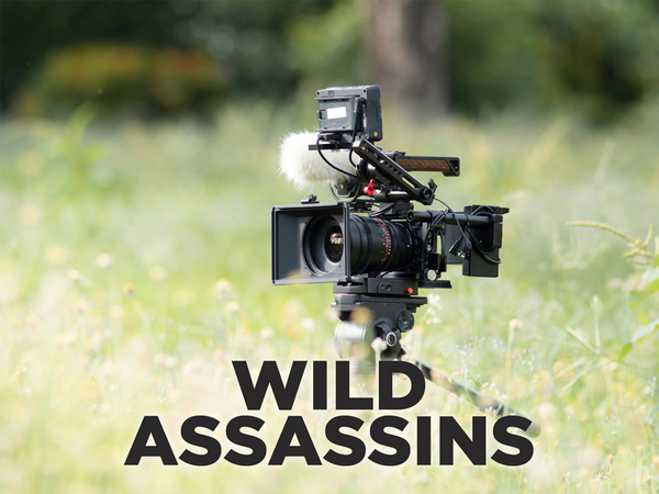 Wild Assassins