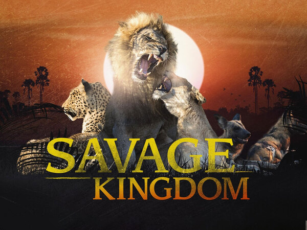 Savage Kingdom Compilations