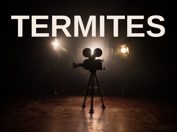 Termites