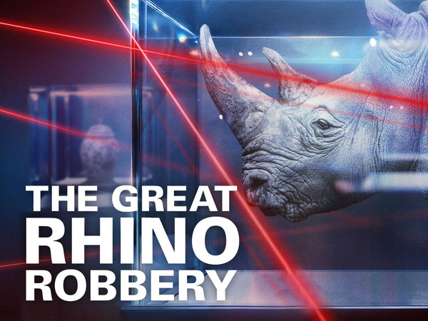 The Great Rhino Robbery