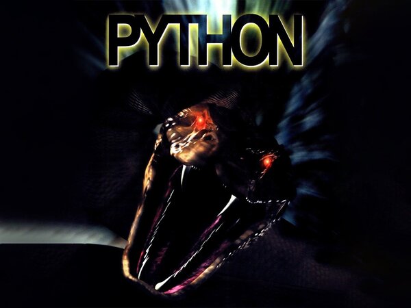 Python