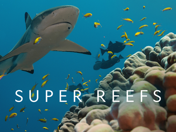 Super Reefs