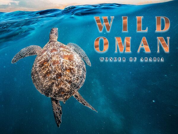 Wild Oman: Wonders of Arabia