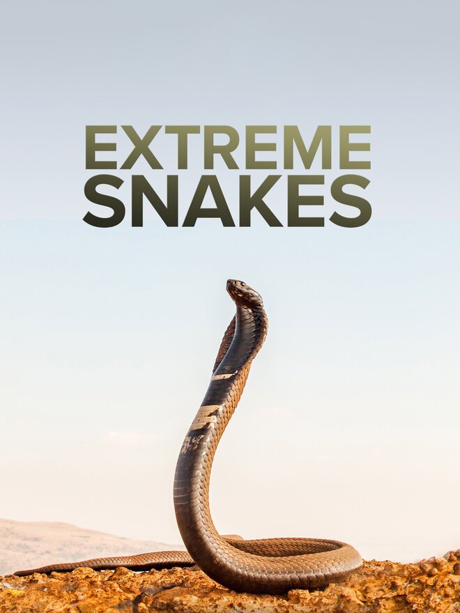 Extreme Snakes