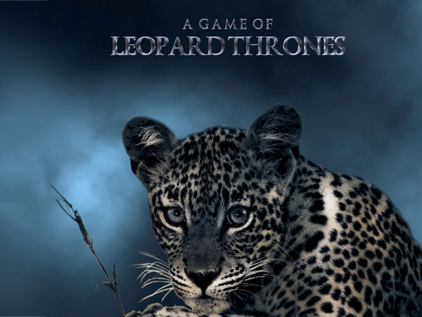 A Game Of Leopard Thrones