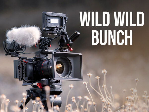 Wild Wild Bunch