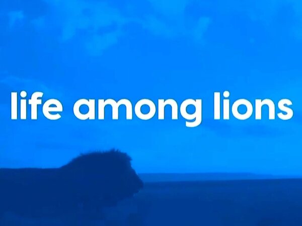 Life Among Lions