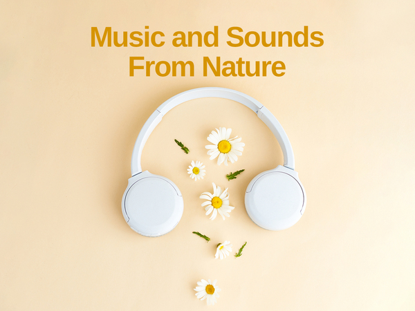 Music and Sounds From Nature