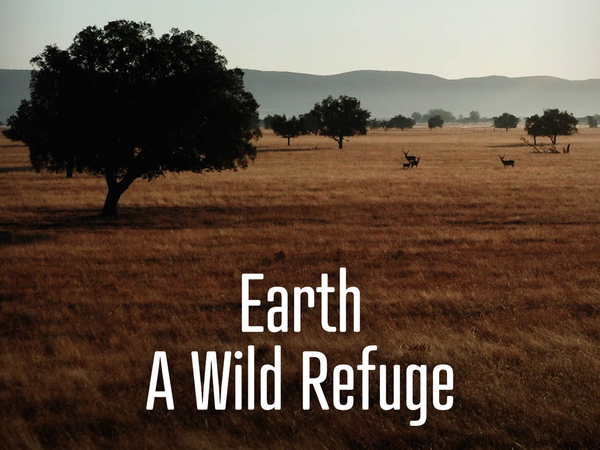Earth: A Wild Refuge