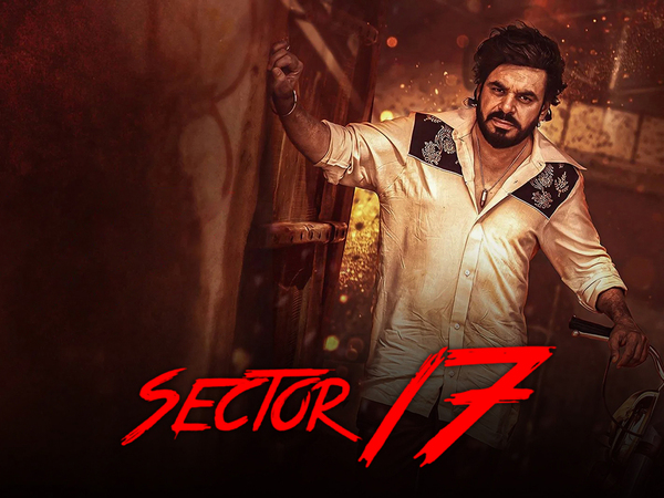 Sector 17