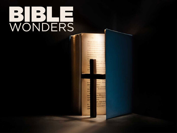 Bible Wonders