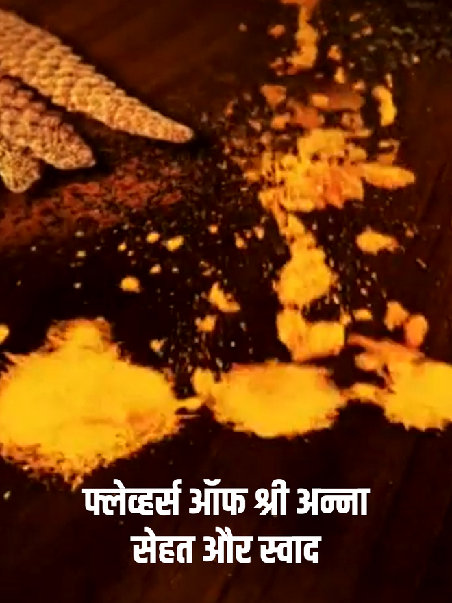 Flavours of Shree Anna Sehat Aur Swad