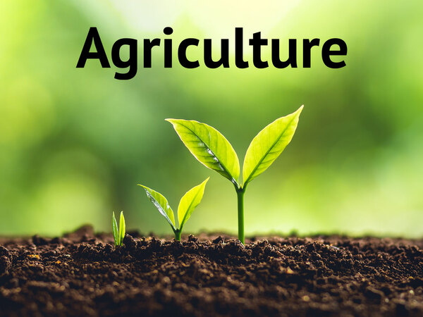 Agriculture