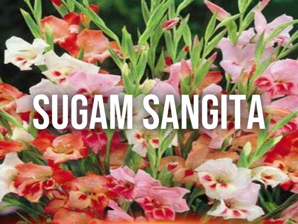 Sugam Sangeeta