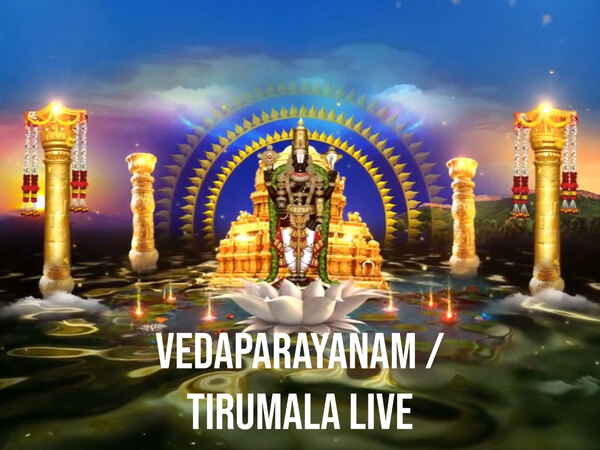 Vedaparayanam / Tirumala Live
