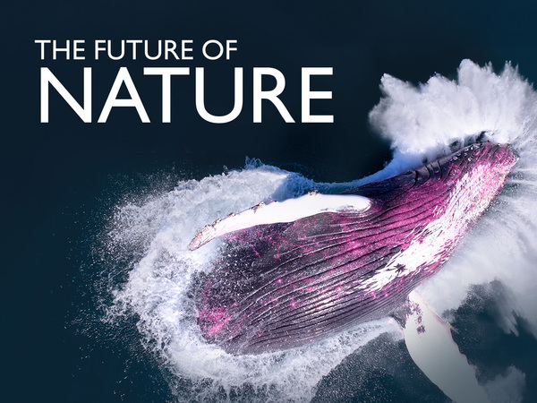 The Future of Nature