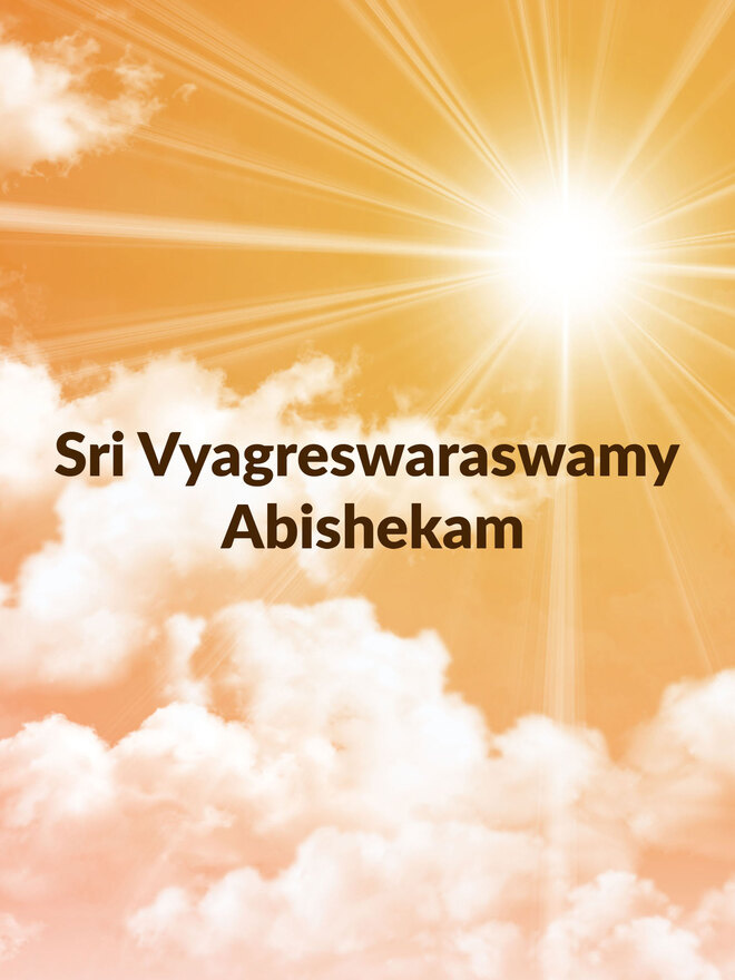 Sri Vyagreswaraswamy Abishekam