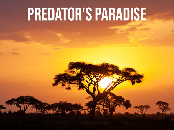 Predator's Paradise
