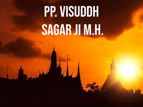 PP. Visuddh Sagar Ji M.H.