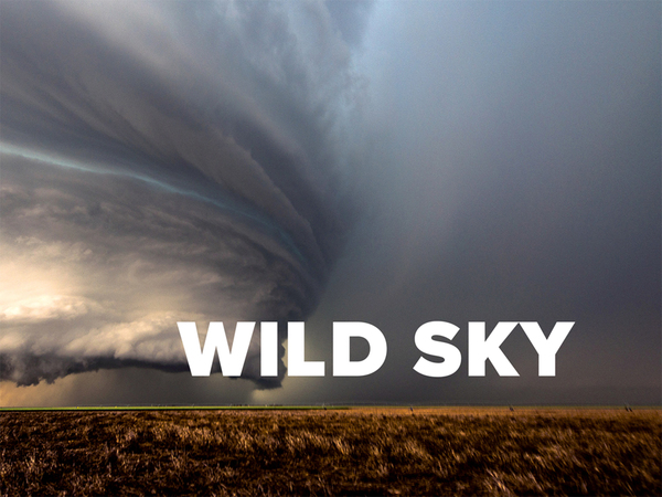 Wild Sky