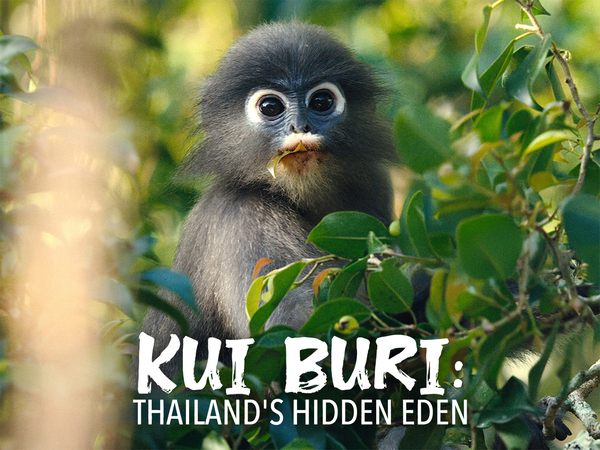 Kui Buri: Thailand's Hidden Eden