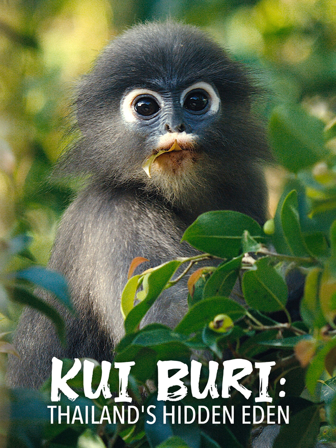 Kui Buri: Thailand’s Hidden Eden