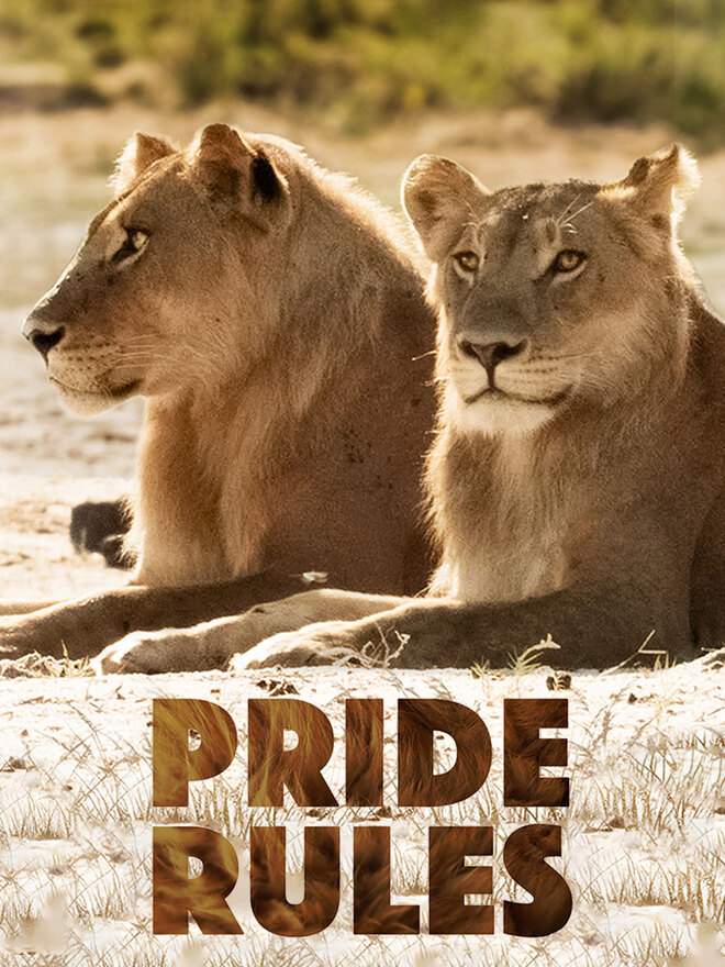 Pride Rules