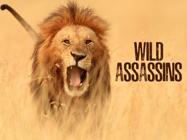 Wild Assassins