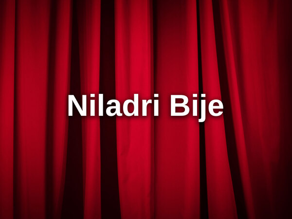Niladri Bije