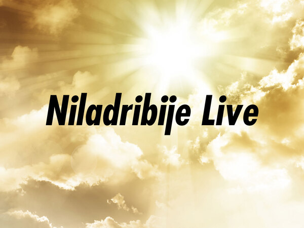 Niladribije Live
