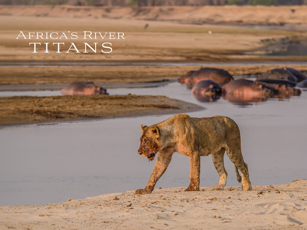 Africa's River Titans